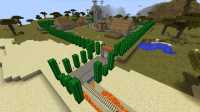 cactus city (1)